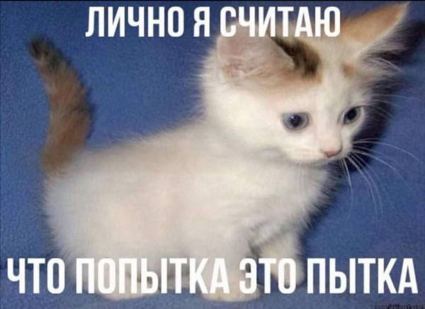 Мем, Bassplayer Мем, Bassplayer