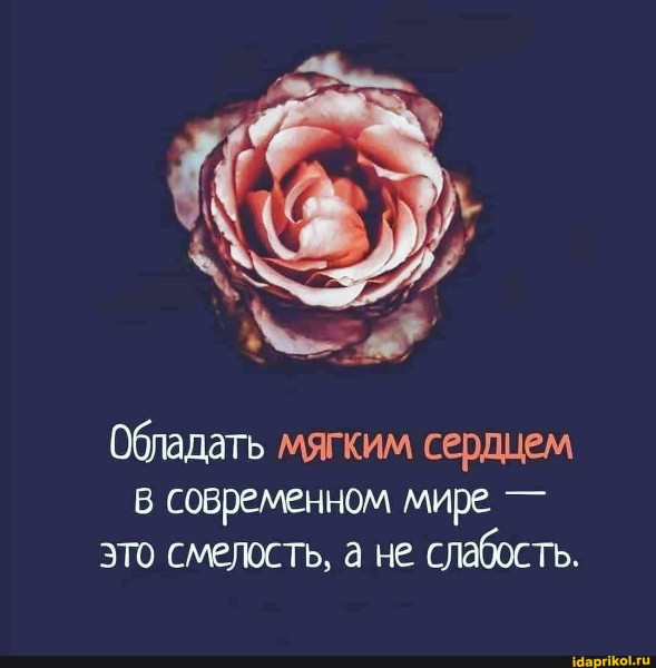 Мем, Алекс Гудков