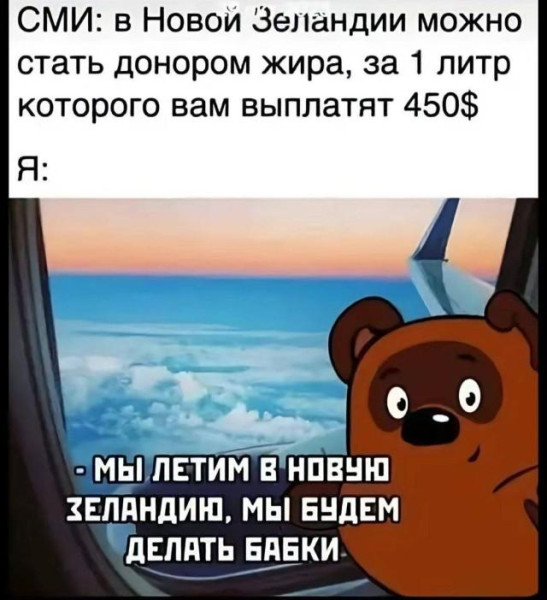 Мем, Антиклептократ Мем, Антиклептократ