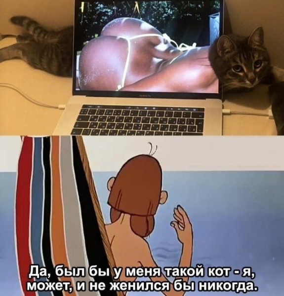 Мем, Антиклептократ Мем, Антиклептократ