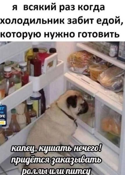 Мем: я, всякий раз,, Антиклептократ Мем: я, всякий раз,, Антиклептократ