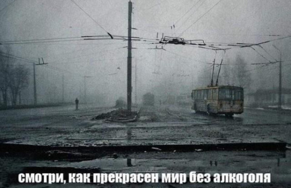 Мем, Антиклептократ