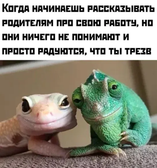Мем, Bassplayer Мем, Bassplayer