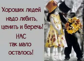 Мем, Алекс Гудков
