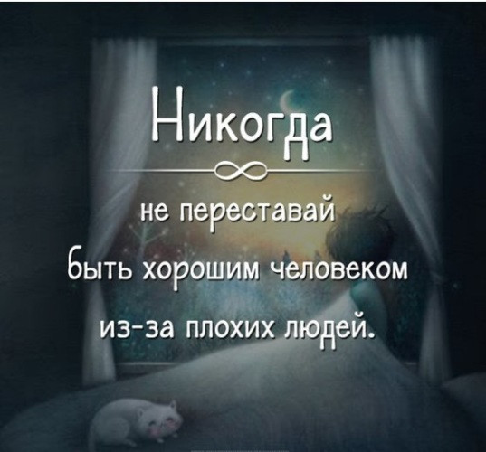 Мем, Алекс Гудков Мем, Алекс Гудков
