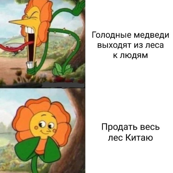 Мем, Kedr72