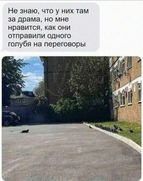 Мем, Bassplayer Мем, Bassplayer