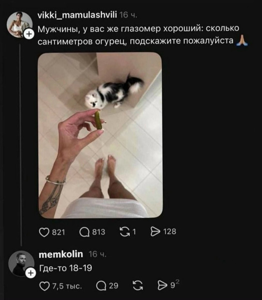 Мем, Bassplayer