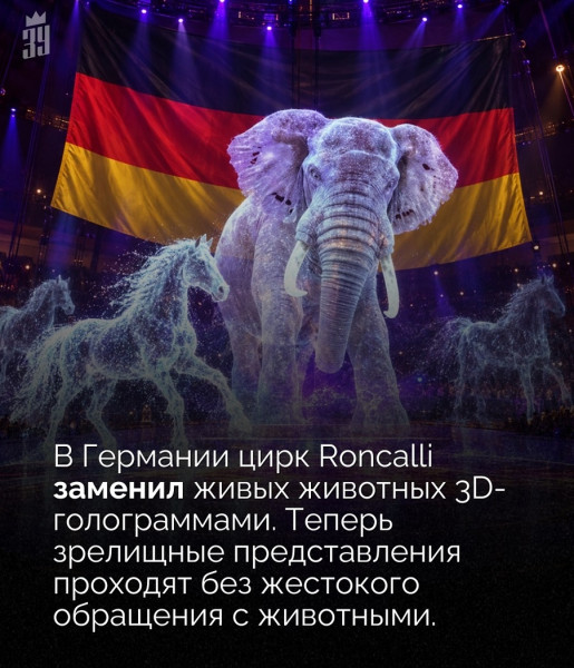 Мем, Алекс Гудков