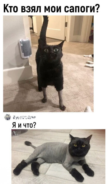 Мем, Mghost Мем, Mghost