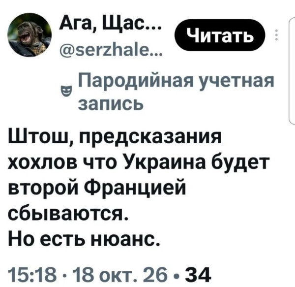 Мем, Максим Камерер