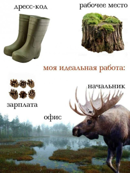 Мем, Bassplayer Мем, Bassplayer