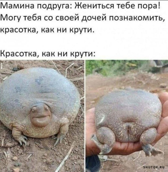 Мем, Ashmedai