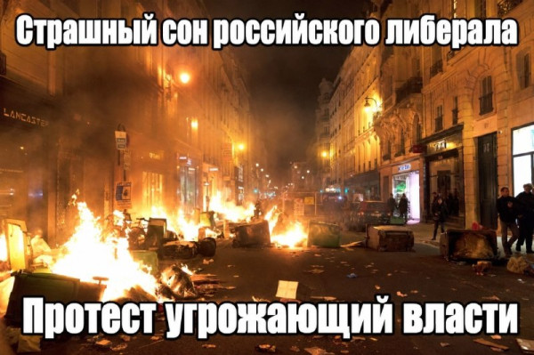 Мем, Diogenes