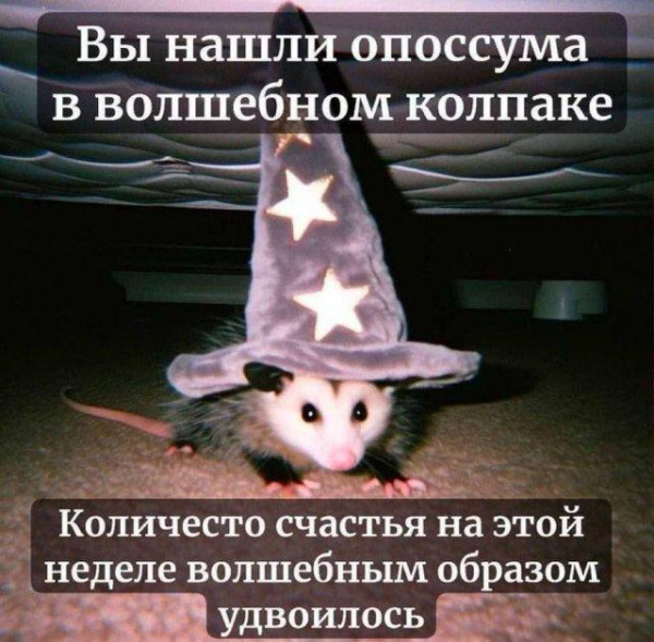 Мем, Антиклептократ
