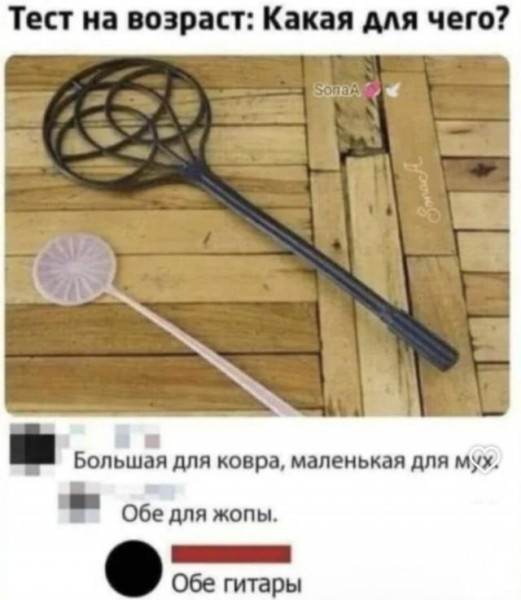 Мем, Антиклептократ
