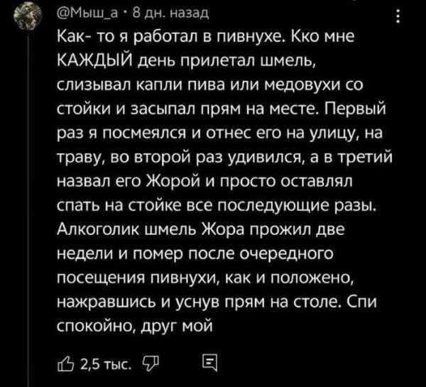 Мем, Bassplayer
