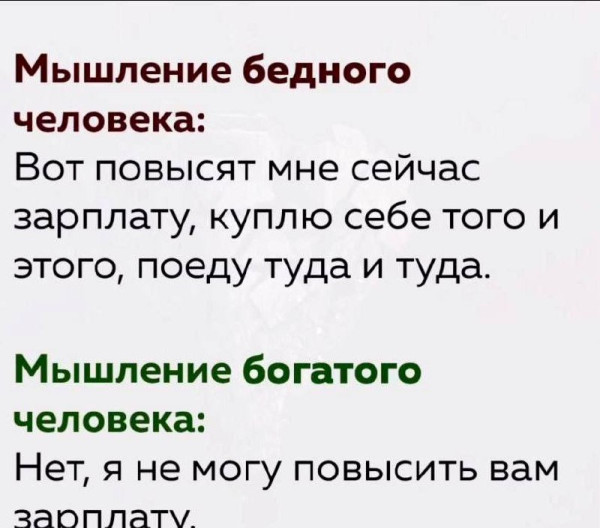 Мем, Diogenes