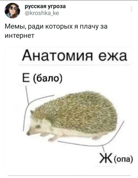 Мем, Bassplayer