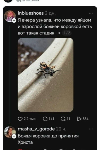 Мем, Bassplayer