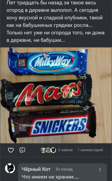 Мем, Лис Интересный