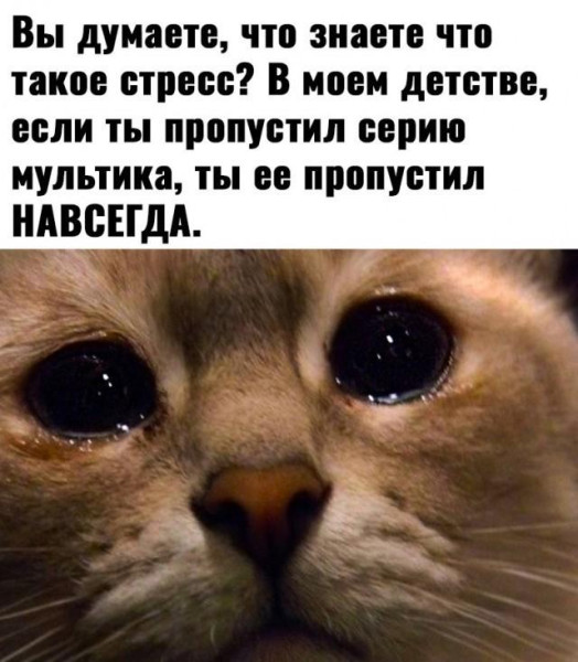 Мем: знаете, моём, её, Антиклептократ