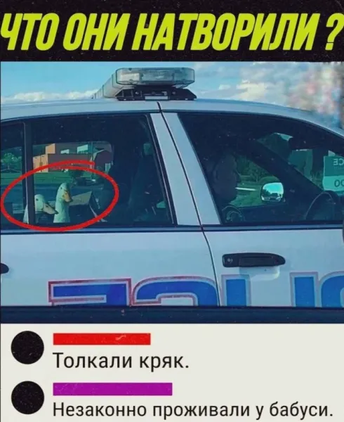 Мем, Bassplayer