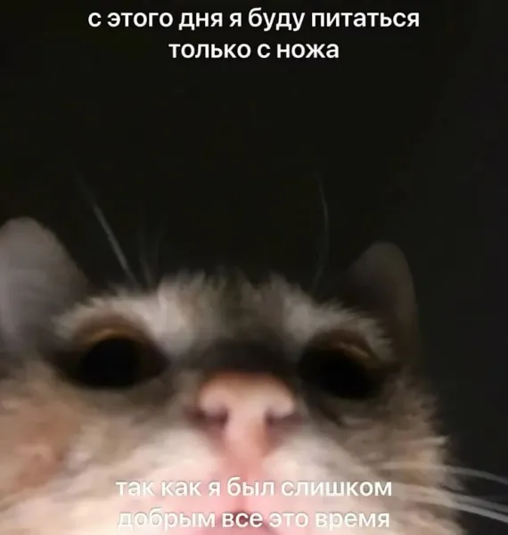 Мем, Bassplayer Мем, Bassplayer