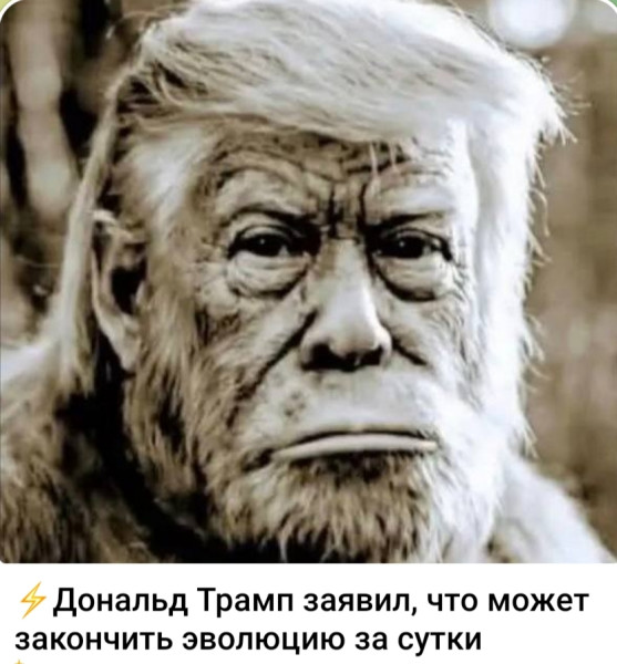 Мем, Ashmedai Мем, Ashmedai
