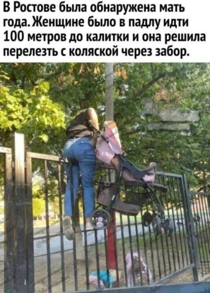Мем: калитки,, Антиклептократ