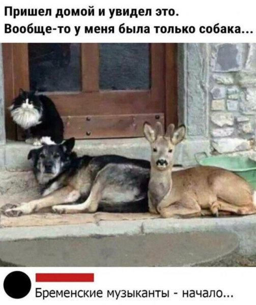 Мем: Пришёл. Вообще-то,, Антиклептократ