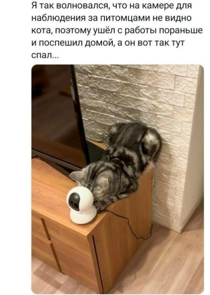 Мем, Антиклептократ