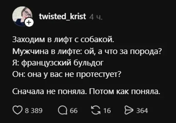 Мем, Bassplayer Мем, Bassplayer