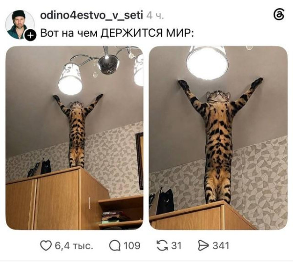 Мем: чём, Антиклептократ