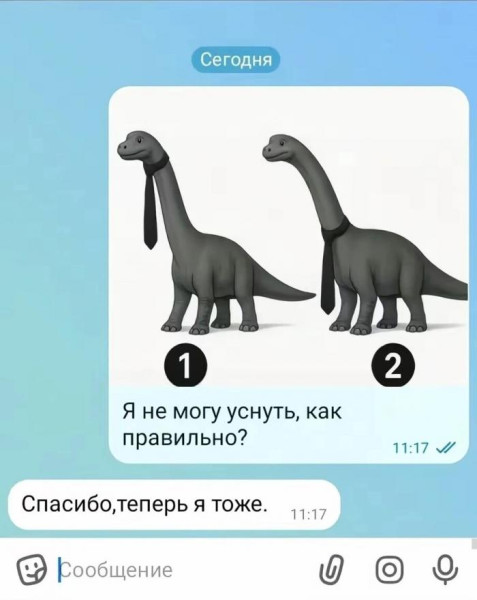 Мем: Вы ложитесь в 11:17? Вы – счастливчики!, Антиклептократ
