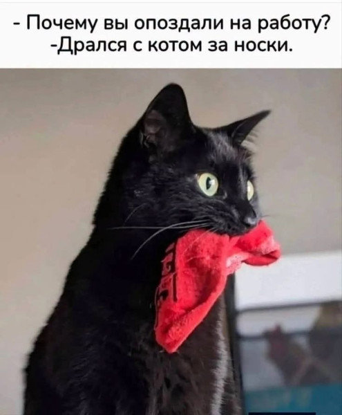 Мем, Александр Скоро