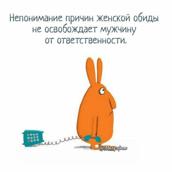 Мем, FDio