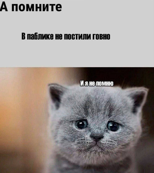 Мем, Максим Камерер Мем, Максим Камерер