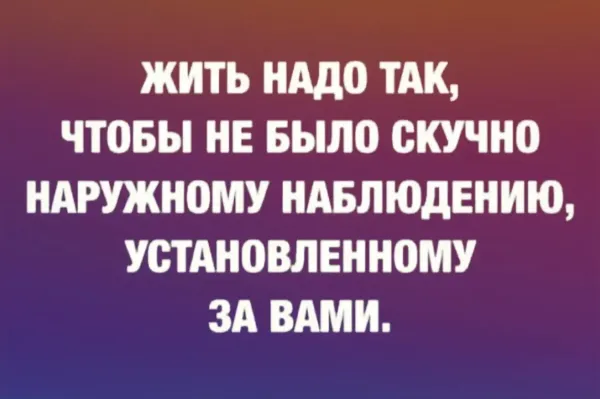 Мем, Bassplayer Мем, Bassplayer