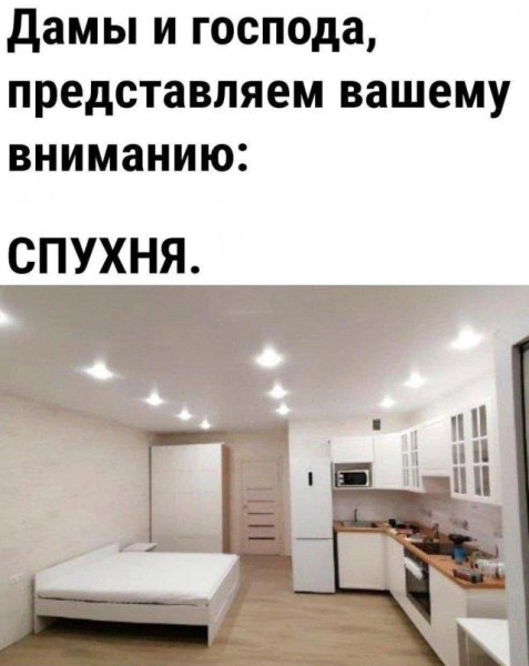 Мем, Антиклептократ