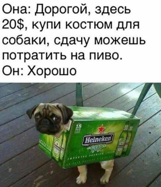 Мем, Антиклептократ