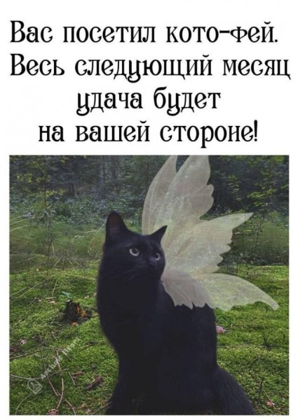 Мем, Антиклептократ Мем, Антиклептократ