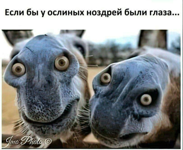 Мем, Mghost