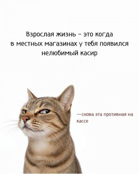 Мем: кассир, Антиклептократ Мем: кассир, Антиклептократ