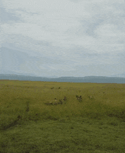 Мем: Нашего бьют! Мем: Нашего бьют!