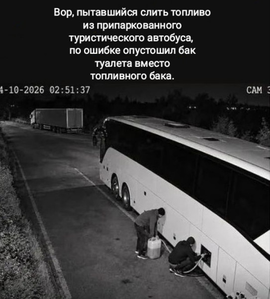 Мем, Рысь