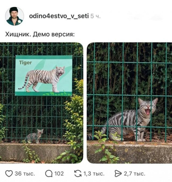Мем, Антиклептократ