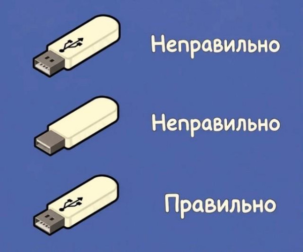 Мем, Антиклептократ
