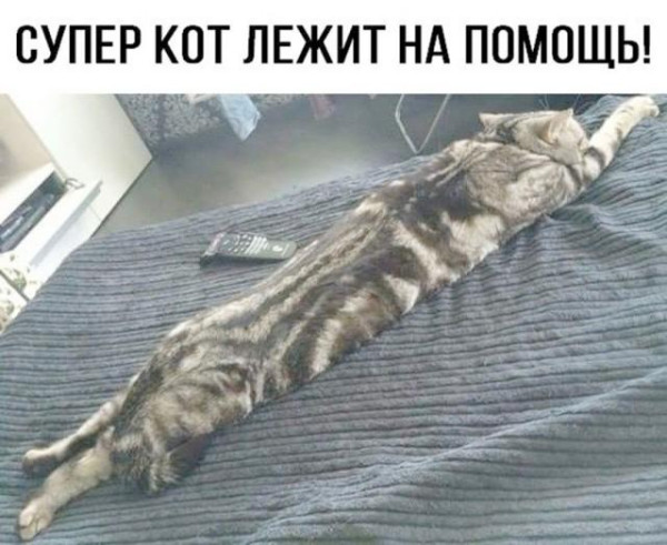 Мем, Антиклептократ