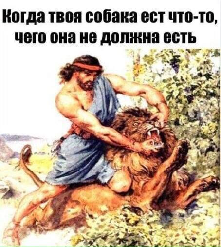 Мем, Ashmedai